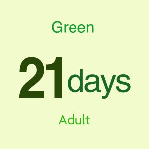 JAPAN RAIL PASS 21DAYS(GREEN) Adult