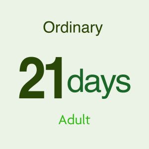 JAPAN RAIL PASS 21DAYS(ORDINARY) Adult